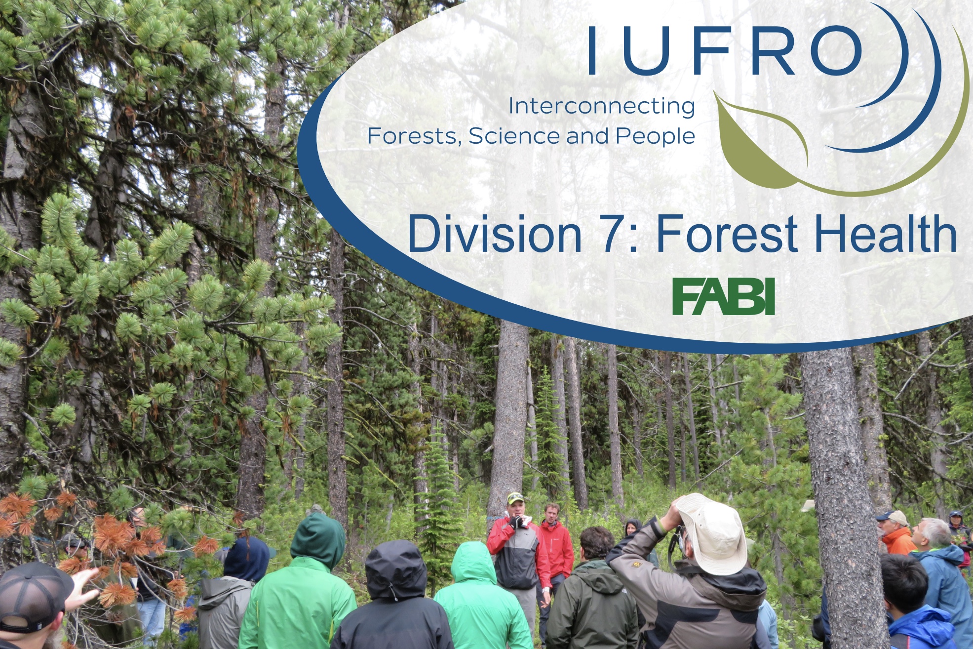 IUFRO Forest Health Webinar Series